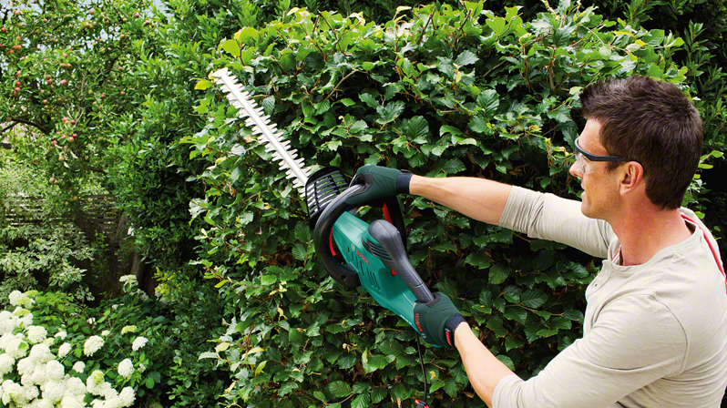 Bosch Groen AHS 60-26 Heggenschaar 60cm - 0600847H00