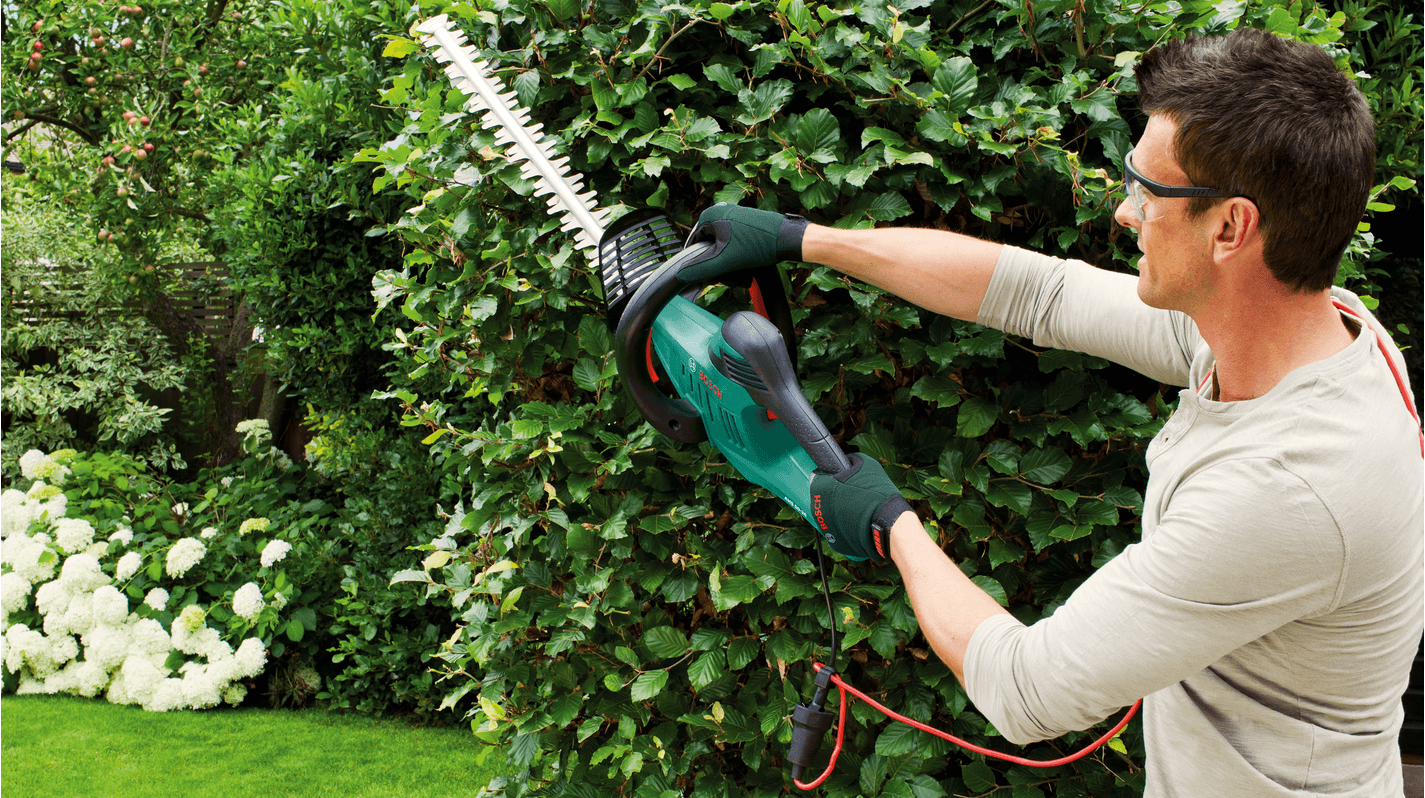 Bosch Groen AHS 55-26 Heggenschaar 55cm - 0600847G00