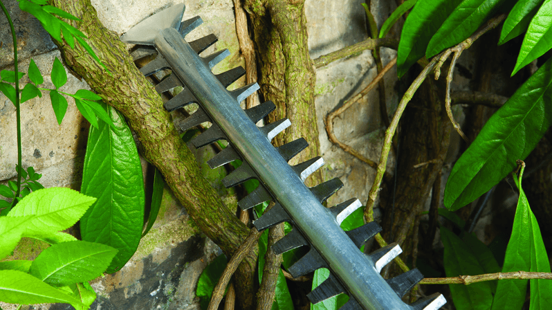 Bosch Groen AHS 55-26 Heggenschaar 55cm - 0600847G00