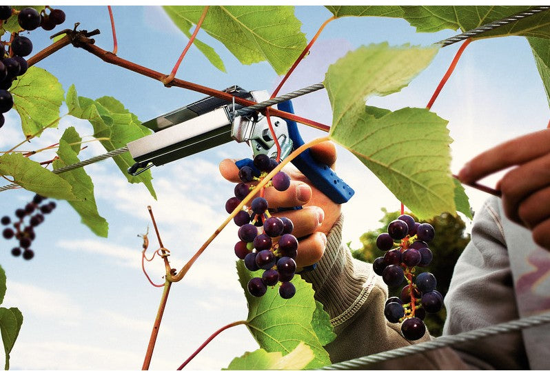 Rapid PRO LIG150 Vine Pliers - 40107753